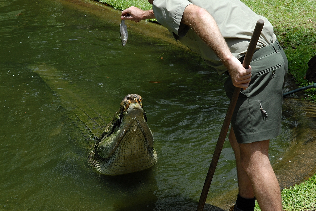 0078 Cairns Tropical Zoo.jpg